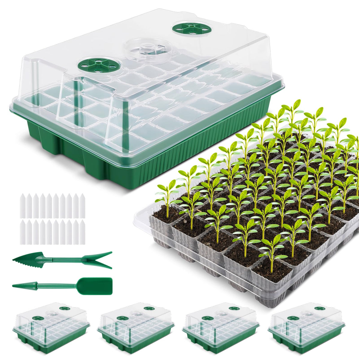 YAUNGEL 160 cell seed starter tray for organized germination and dense planting