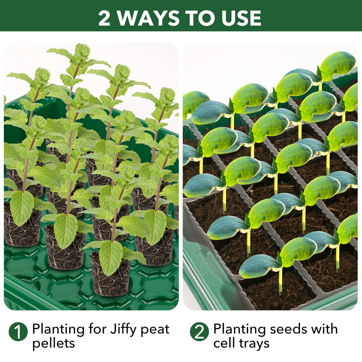YAUNGEL seed starter trays pair with grow lights for year round starting