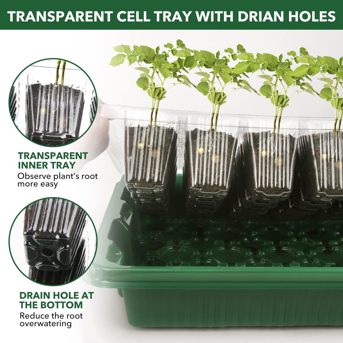 YAUNGEL 160-cell trays work with heat mats for consistent germination