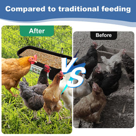 YAYODS hanging water trough provides outdoor hydration for poultry.