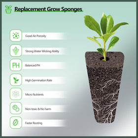 YBB grow domes maintain humidity for reliable germination in indoor gardens.