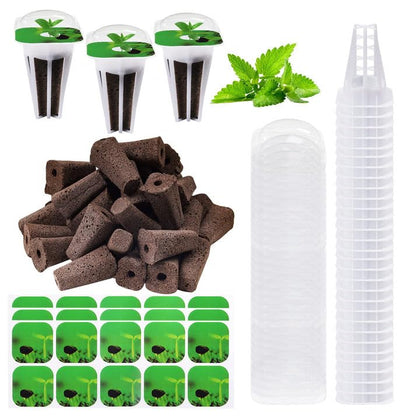 YBB seed pod sponges provide a coconut fiber medium for healthy seedlings.