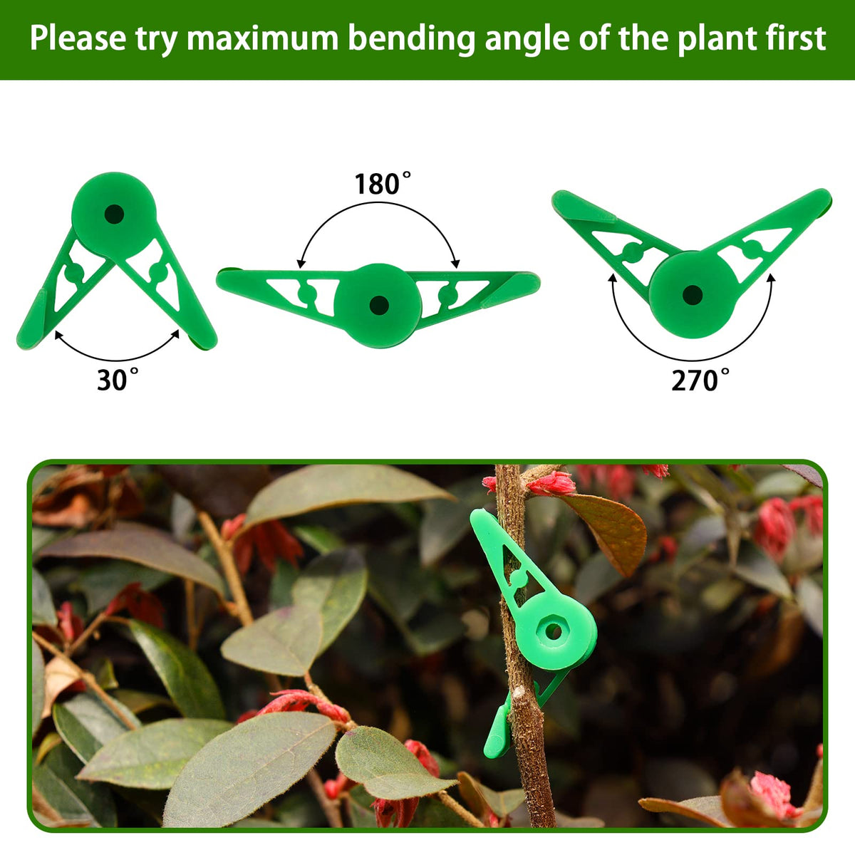 YBB branch-training clips gently clamp to guide branch growth and spacing.