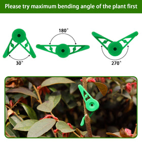 YBB branch-training clips gently clamp to guide branch growth and spacing.