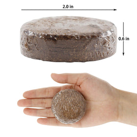 YBB coco coir discs expanding in water, releasing airy substrate for robust seedling roots.