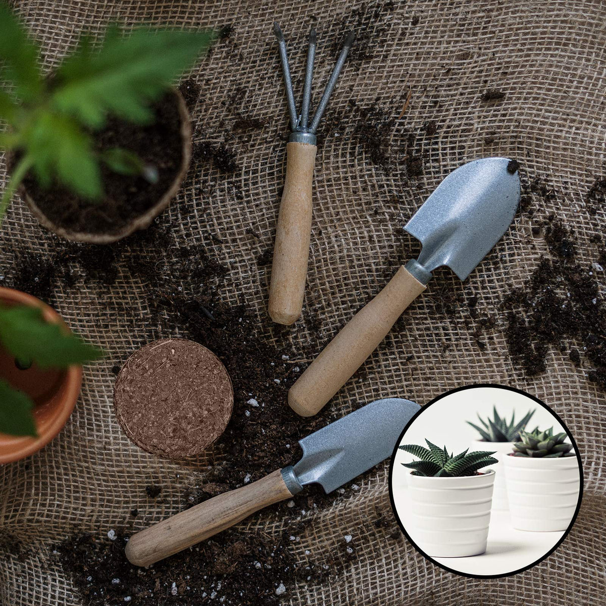 YBB discs provide moisture retention and easy rehydration for steady plant growth.