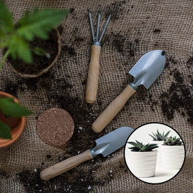 YBB discs provide moisture retention and easy rehydration for steady plant growth.