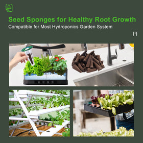 YBB eco-friendly plastic-free sponge packaging for seed starting.