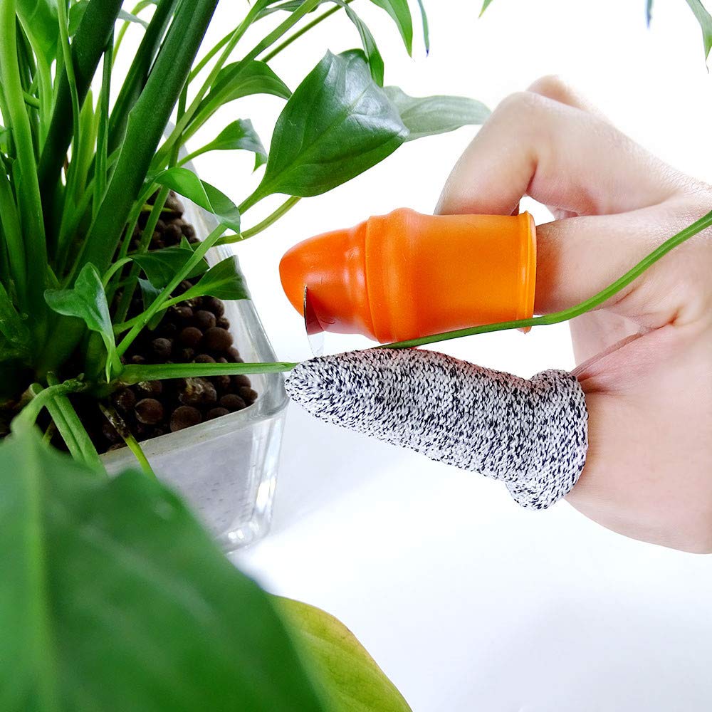 YBB garden tool set supports berry and vegetable harvesting