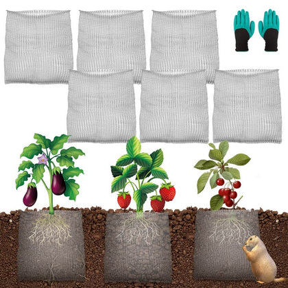 YBB gopher wire basket in 1 gallon size protects plant roots