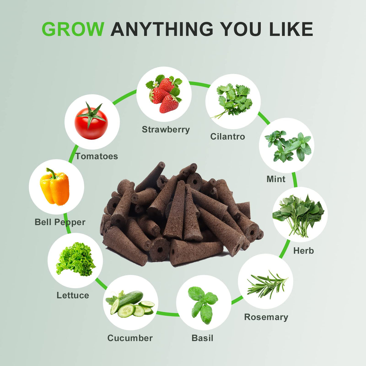 YBB seed starters enabling strawberries, tomatoes, and herbs growth.