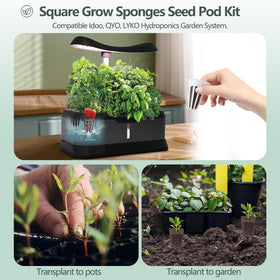 YBB compatible seed pods fit IDOO, QYO, LYKO systems for easy setup.