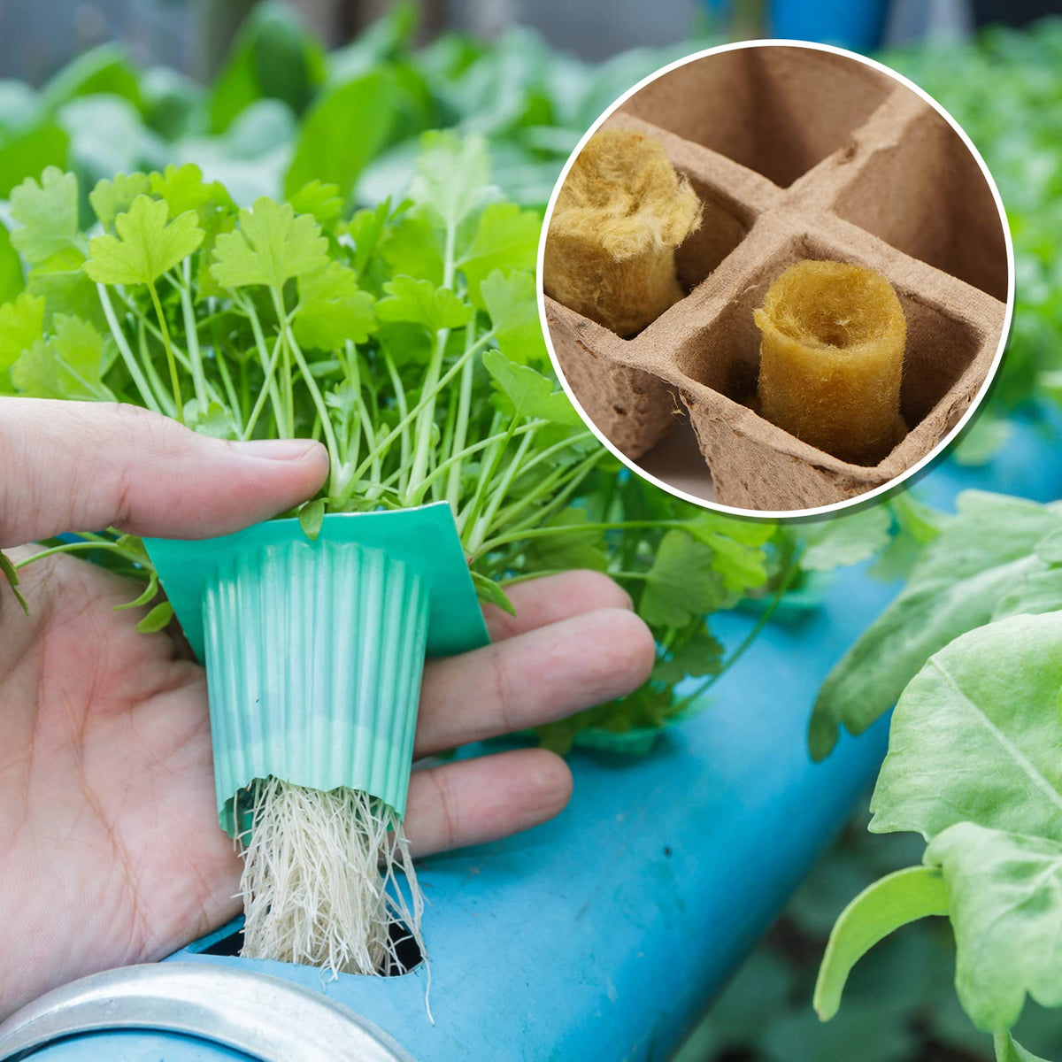 YBB included 60 labels help organize seedlings and batches