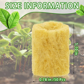 YBB rockwool plug closeup texture showing moisture retention and air spaces