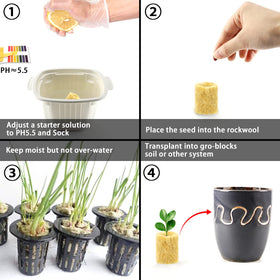 YBB rockwool plug seed tray fit demonstrates compatibility with standard propagation trays