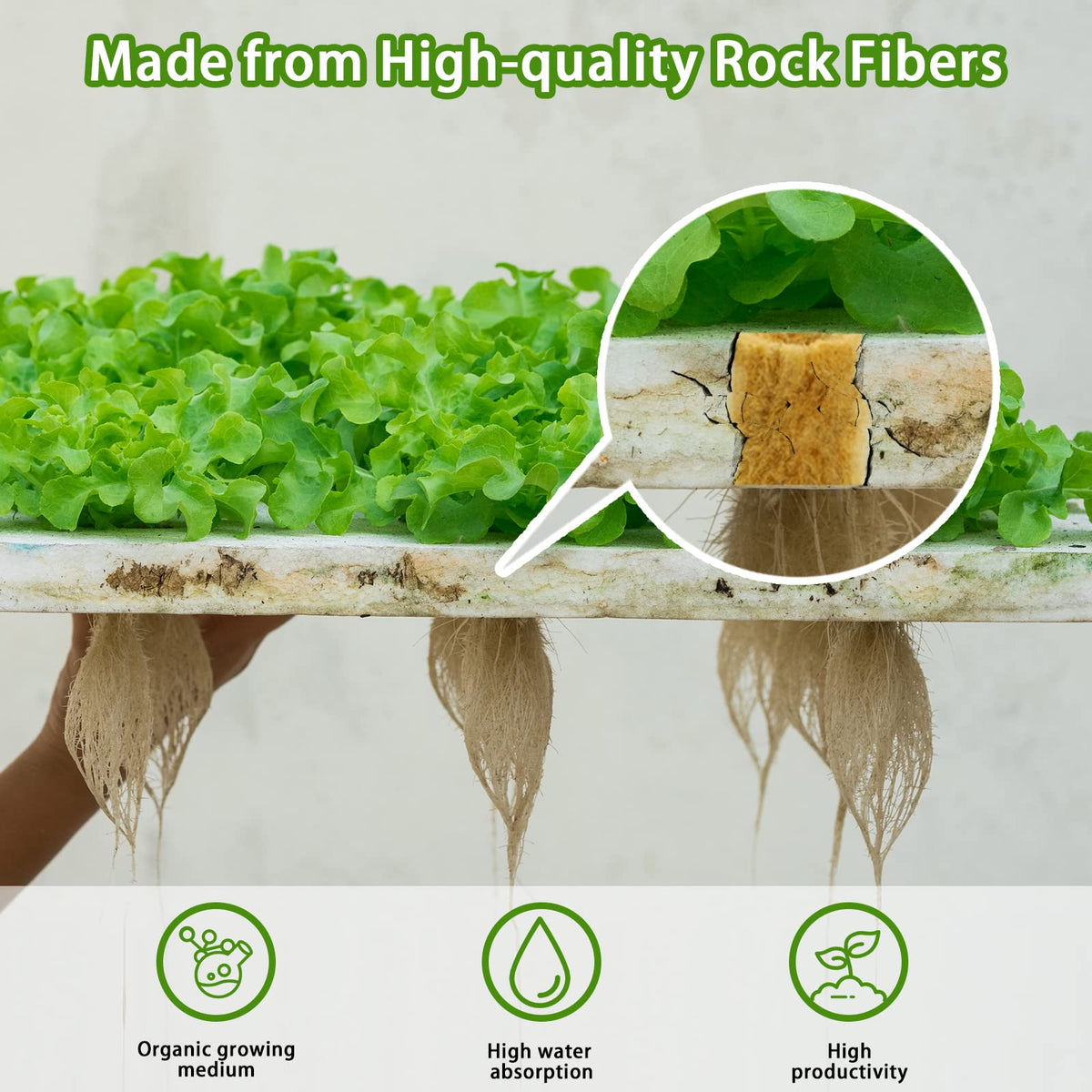 YBB rockwool plug transplant-ready design eases moving seedlings to blocks or slabs