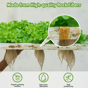YBB rockwool plug transplant-ready design eases moving seedlings to blocks or slabs
