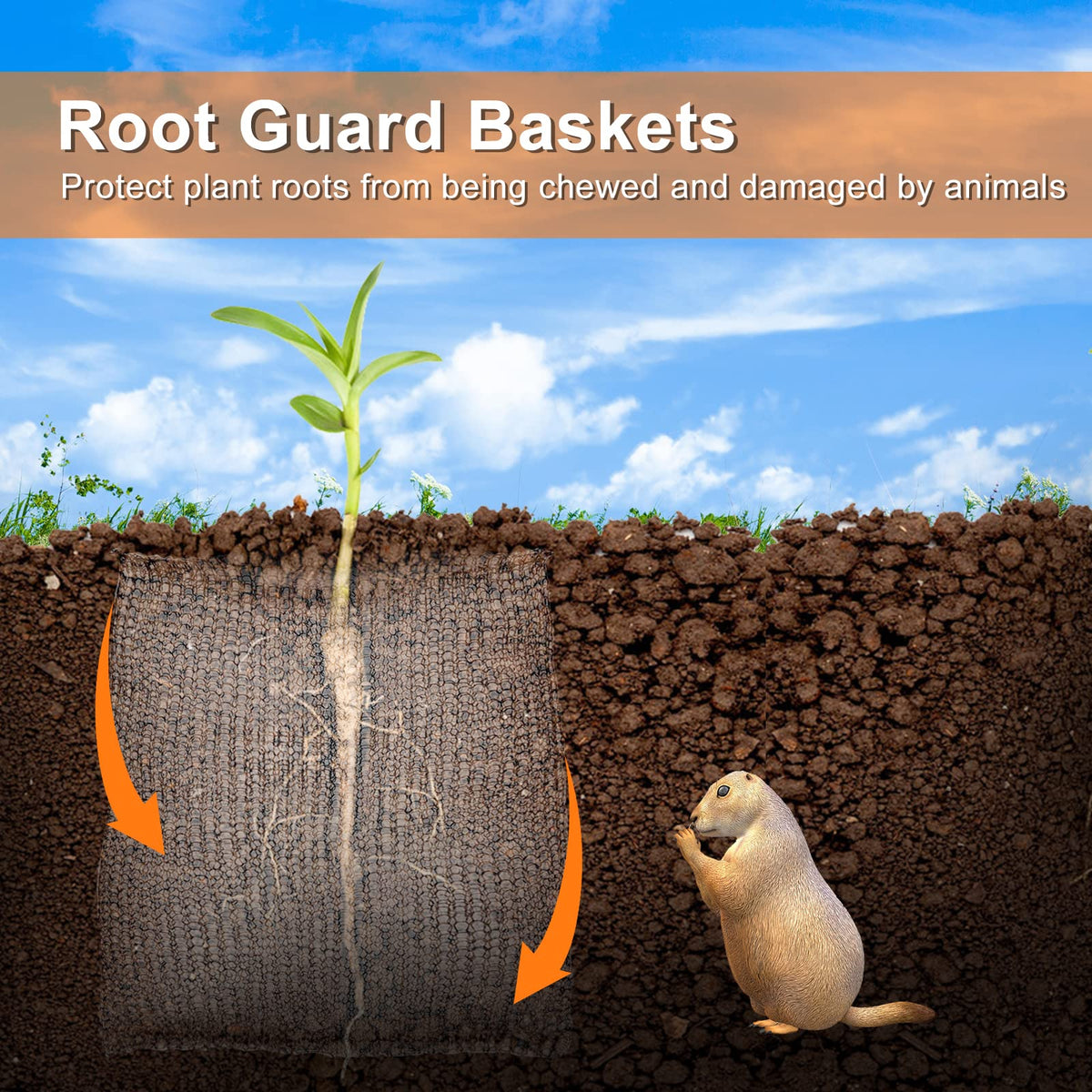 YBB root guard baskets in garden pot protecting plant roots