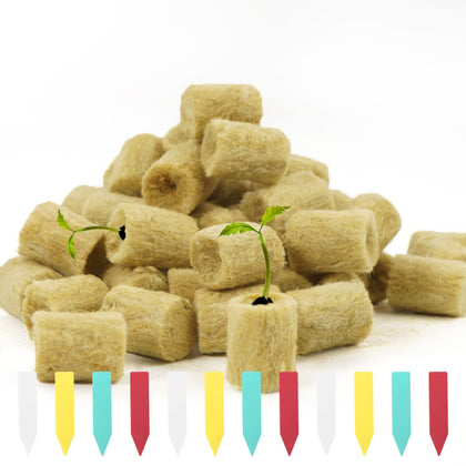 YBB round rockwool plug pack showing 50 plugs for seed starting and cloning