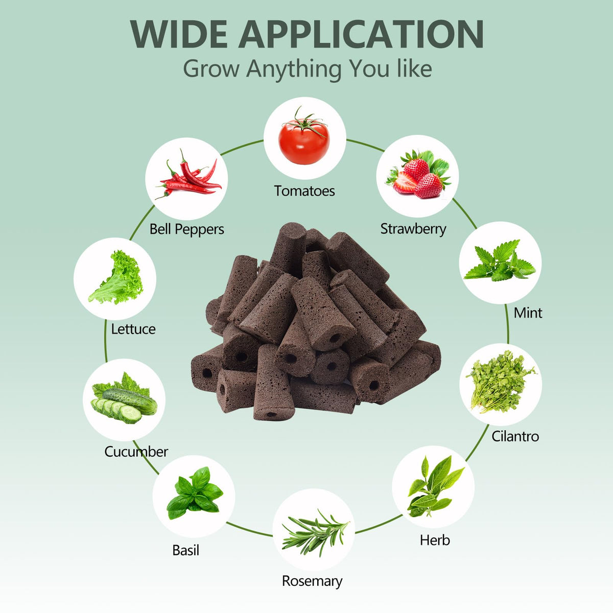 YBB 30-set seed pods kit packaging shows a complete indoor starter system.
