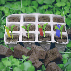 YBB plug suitable for indoor and outdoor gardening environments