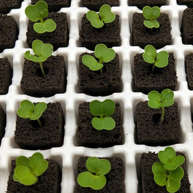 YBB value set shows 50 plugs and 60 labels for finishing your setup