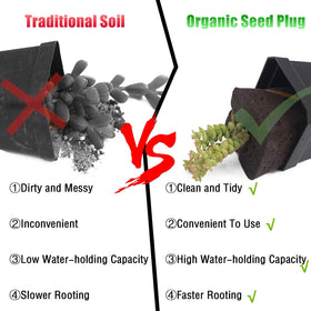 YBB plug features a planting hole design for easy seed placement