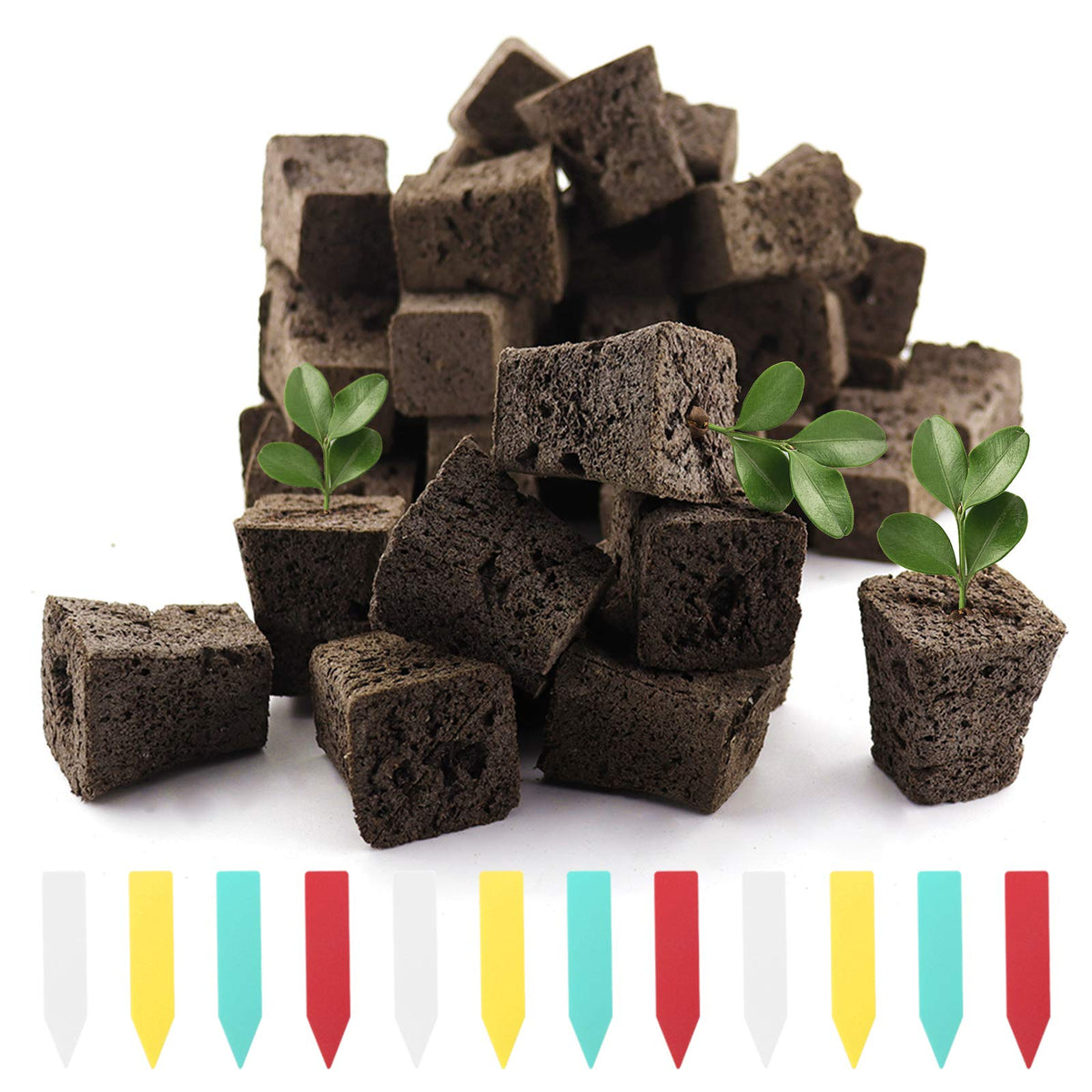 YBB seed starter plug with rapid root sponge supports faster germination