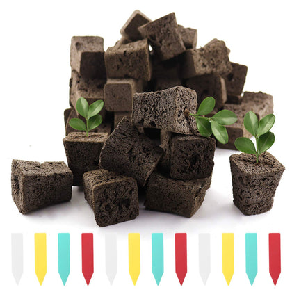 YBB seed starter plug with rapid root sponge supports faster germination
