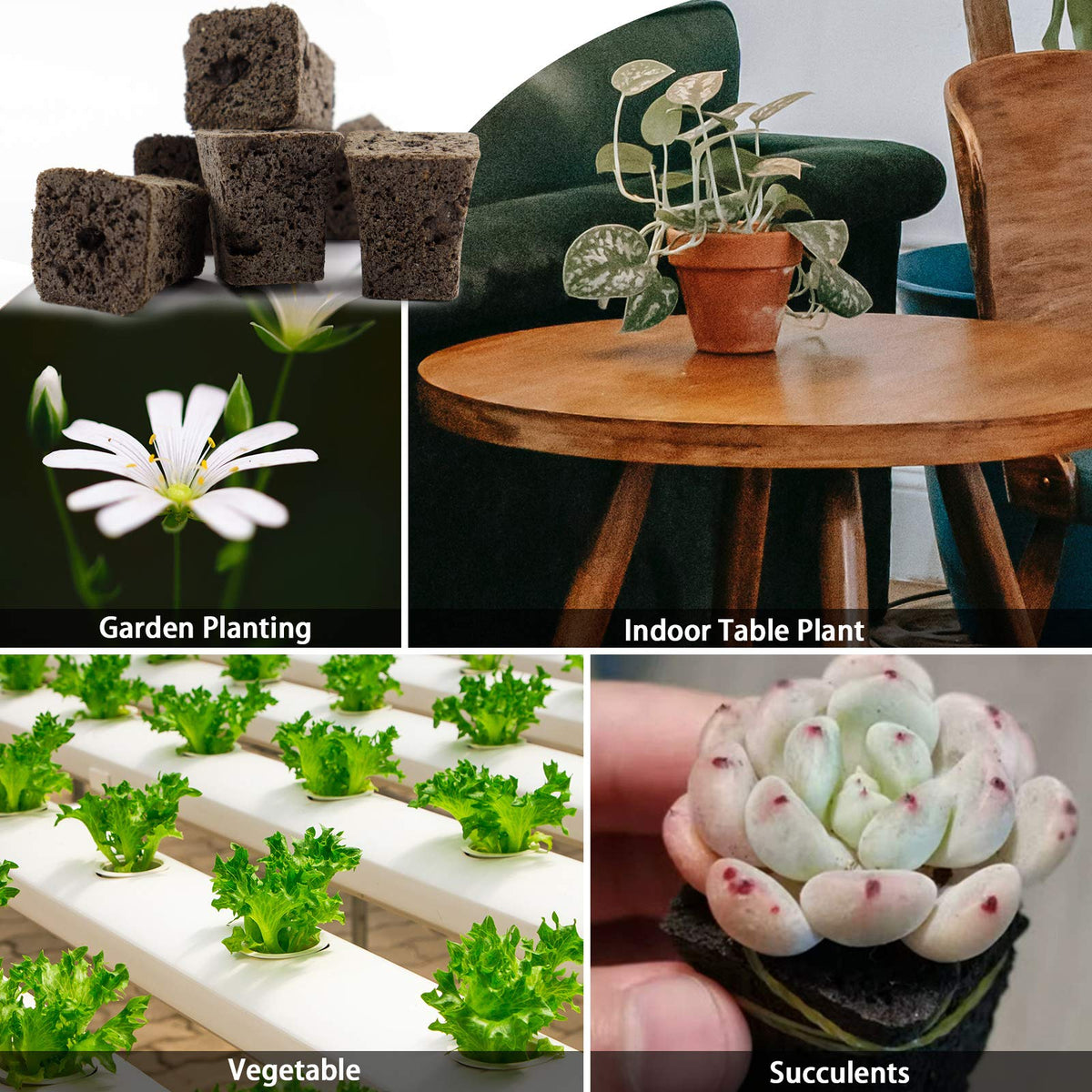 YBB plug expands when soaked to fit seedlings in trays