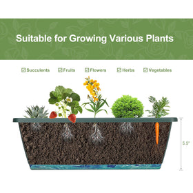 Inclined tiers maximize sunlight and airflow for healthy YBING plants.