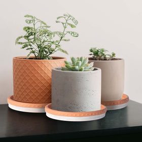 YBX durable saucer withstands sun and winter conditions for year-round use