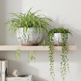 YBX indoor-outdoor terracotta pot suitable for various plants