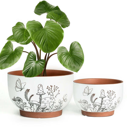 YBX terracotta pot with mushroom accent for indoor decor and healthy roots
