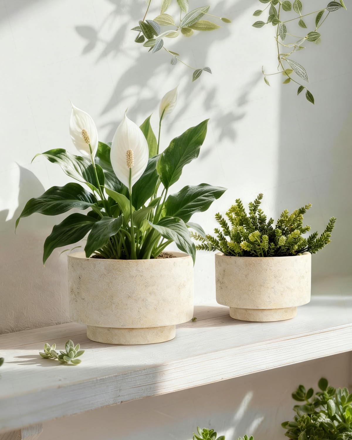 YBX YIBOXUAN ceramic planter with drainage for moisture control