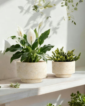 YBX YIBOXUAN ceramic planter with drainage for moisture control