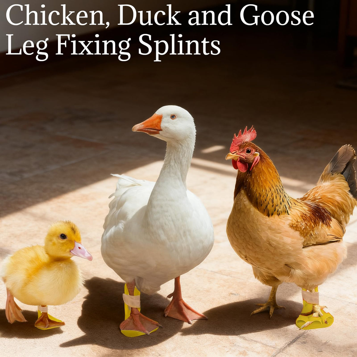 YcaeyLnaR chicken leg splint toe separator version for chicken foot alignment