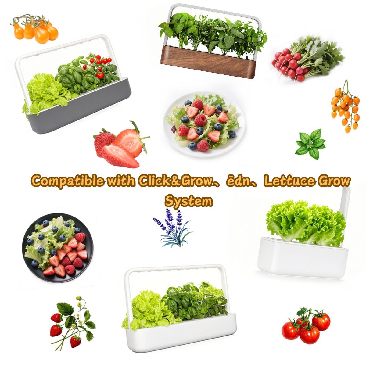 YDKYD eco-conscious materials support sustainable gardening and easy transplanting.