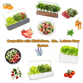 YDKYD eco-conscious materials support sustainable gardening and easy transplanting.