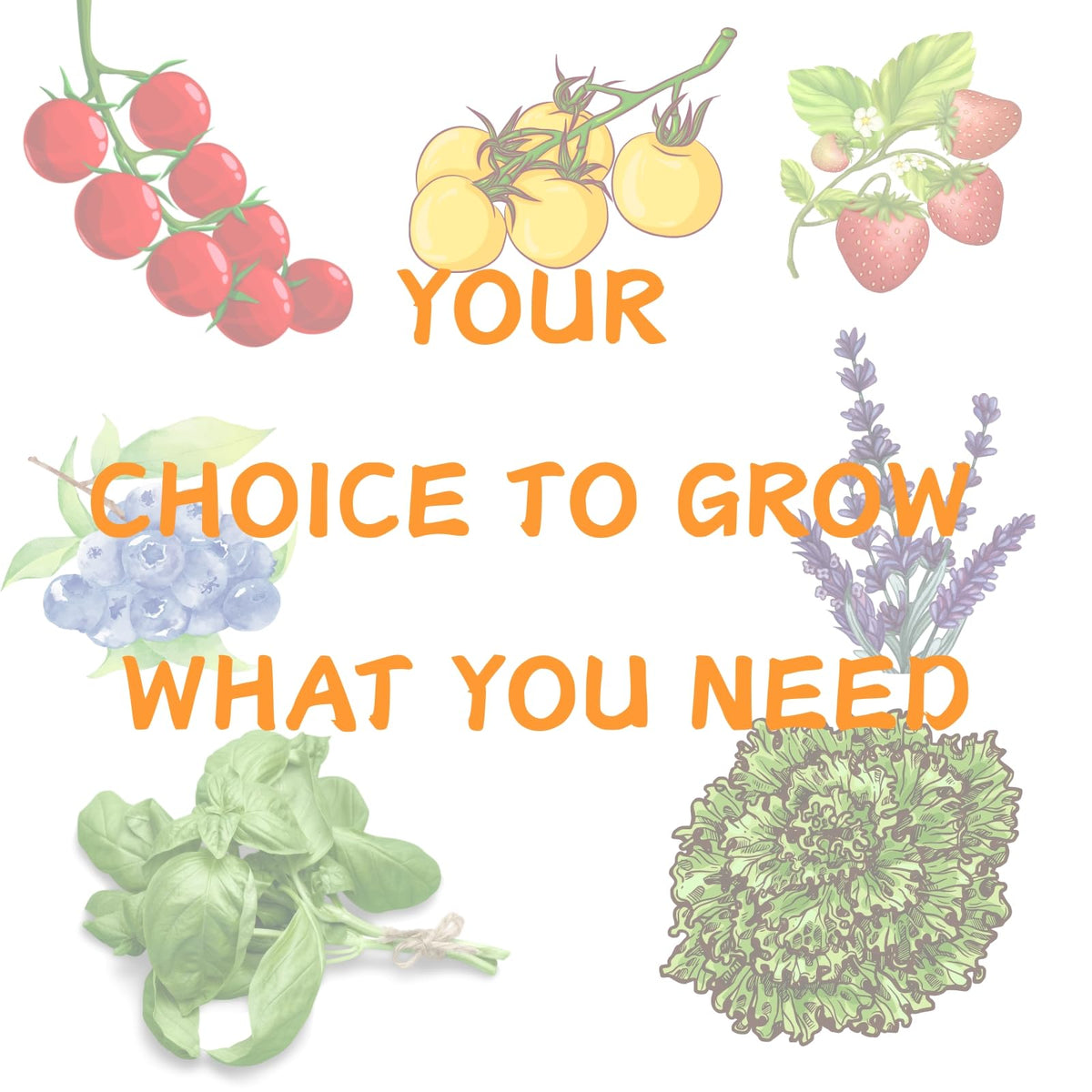 YDKYD premium materials ensure consistent hydroponic performance.