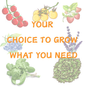 YDKYD premium materials ensure consistent hydroponic performance.
