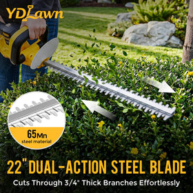 YDlawn 20V hedge trimmer blade closeup showing dual-action precision cuts.