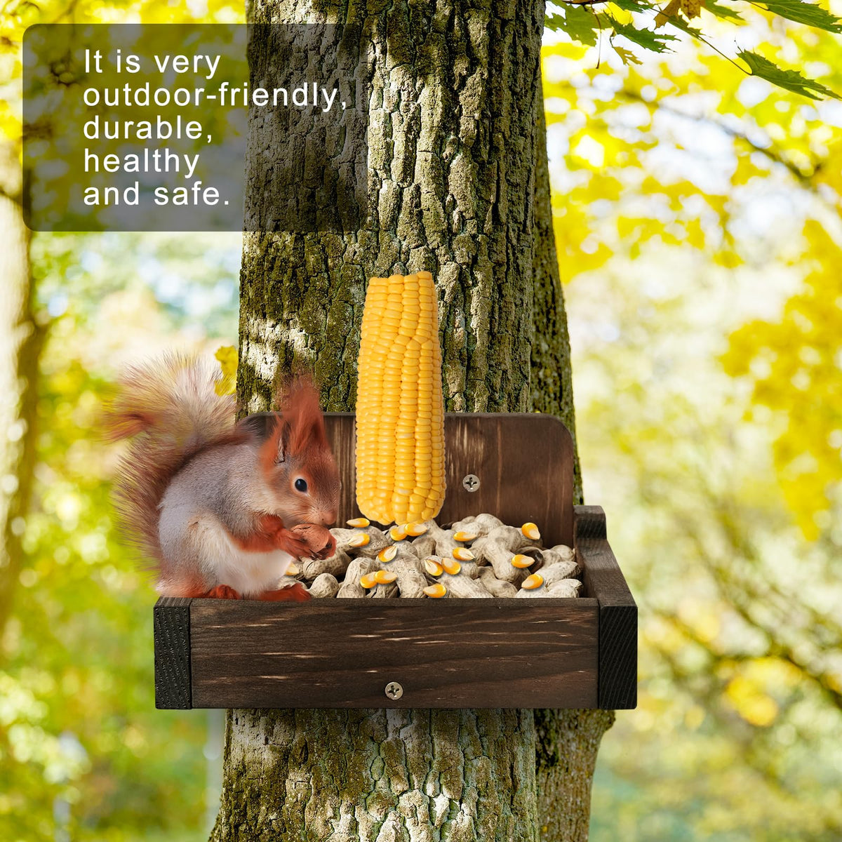 YEBGMS Squirrel Feeder attracts backyard squirrels and chipmunks for viewing.