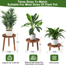 Yedcxup plant stand four-inch-height elevates small plants for tidy display