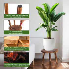 Yedcxup plant stand seven-inch-height creates multi-level display