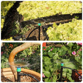 Yeedoox durable stake improves stability and irrigation reach.