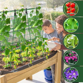 Yeghujar A-Frame cucumber trellis assembly shows tool-free setup