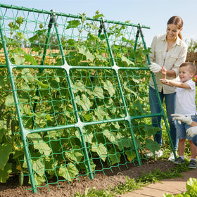 Yeghujar A-Frame trellis raised-bed use supports cucumbers and tomatoes