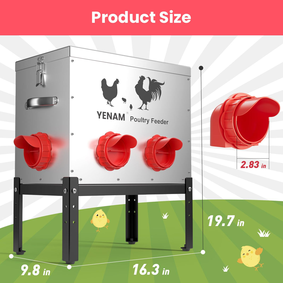 YENAM 6-port design allows multiple birds to feed with less spill