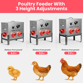 YENAM adjustable-height base adapted for different poultry sizes